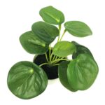 productHero-SPOTWF-BP80690130-green-2