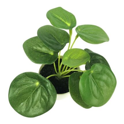 productHero-SPOTWF-BP80690130-green-2