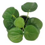 productHero-SPOTWF-BP80690130-green-3