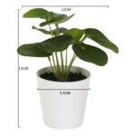 productHero-SPOTWF-BP80690130-green-4
