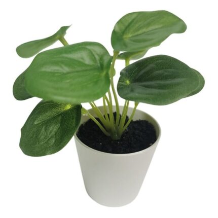 productHero-SPOTWF-BP80690130-green