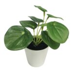 productHero-SPOTWF-BP80690130-green-5