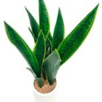 productHero-SPOTWF-BP80690131-green-3