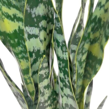 productHero-SPOTWF-BP80690132-green-2
