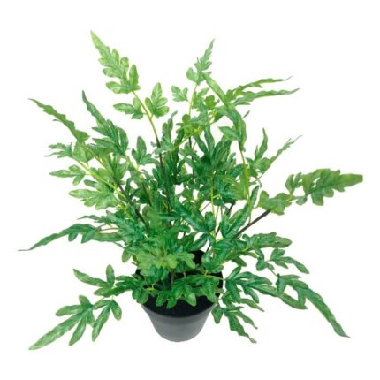 productHero-SPOTWF-BP80690133-green
