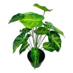 productHero-SPOTWF-BP80690134-green
