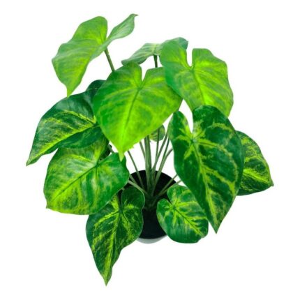 productHero-SPOTWF-BP80690134-green-2