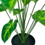productHero-SPOTWF-BP80690134-green-3