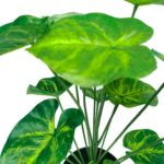 productHero-SPOTWF-BP80690134-green-4