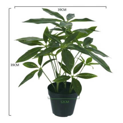productHero-SPOTWF-BP80690135-green-2