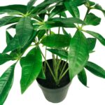 productHero-SPOTWF-BP80690135-green-4