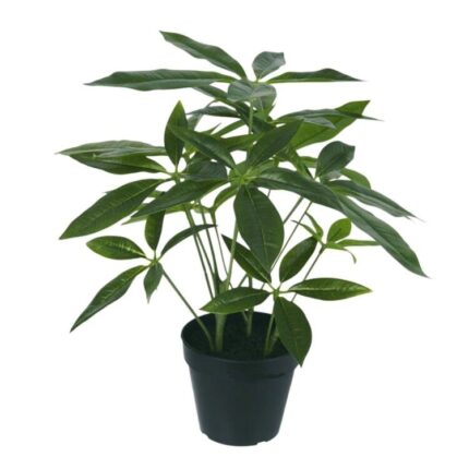 productHero-SPOTWF-BP80690135-green