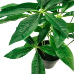 productHero-SPOTWF-BP80690135-green-6