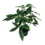 productHero-SPOTWF-BP80690135-green-8