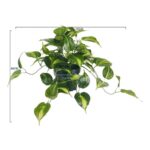 productHero-SPOTWF-BP80690136-green-2
