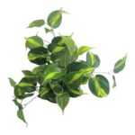productHero-SPOTWF-BP80690136-green-3