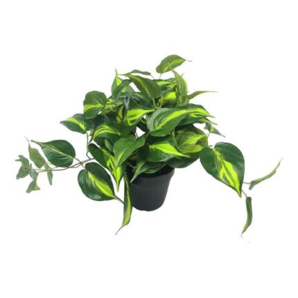 productHero-SPOTWF-BP80690136-green