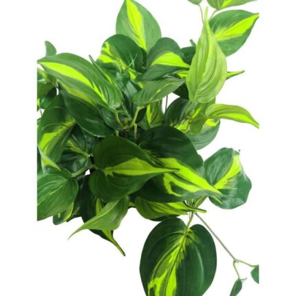 productHero-SPOTWF-BP80690136-green-5