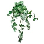 productHero-SPOTWF-BP80690137-green