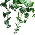 productHero-SPOTWF-BP80690137-green-4