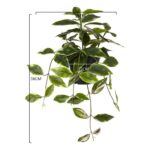 productHero-SPOTWF-BP80690138-green-2
