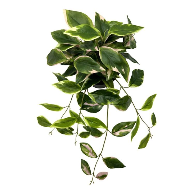productHero-SPOTWF-BP80690138-green productHero-SPOTWF-BP80690138-green