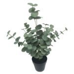 productHero-SPOTWF-BP80690150-green