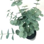 productHero-SPOTWF-BP80690150-green-3
