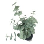 productHero-SPOTWF-BP80690150-green-4