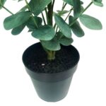 productHero-SPOTWF-BP80690150-green-5