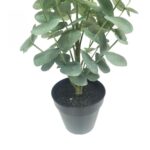 productHero-SPOTWF-BP80690150-green-6