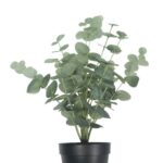 productHero-SPOTWF-BP80690150-green-7