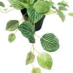 productHero-SPOTWF-BP80690806-green-3