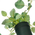 productHero-SPOTWF-BP80690806-green-4