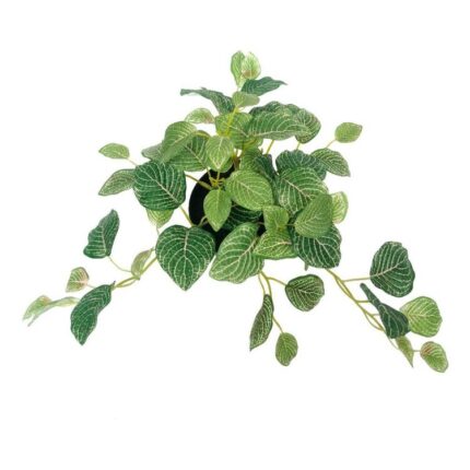 productHero-SPOTWF-BP80690806-green