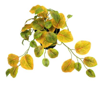 productHero-SPOTWF-BP80690806-yellow
