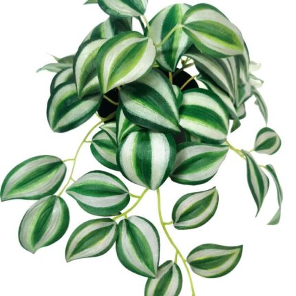 productHero-SPOTWF-BP80690811-green