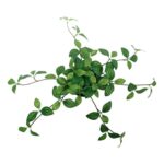 productHero-SPOTWF-BP80691035-green