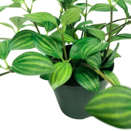 productHero-SPOTWF-BP80691035-green-2