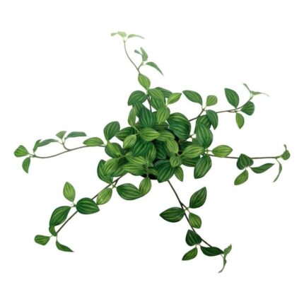 productHero-SPOTWF-BP80691035-green