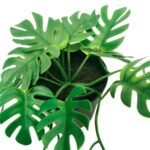 productHero-SPOTWF-BP80691037-green-2