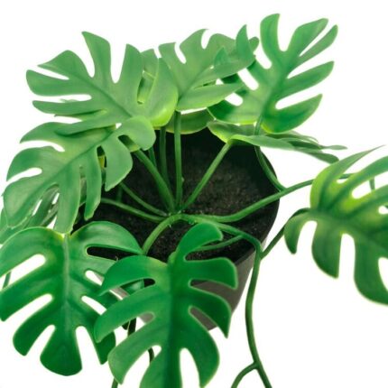productHero-SPOTWF-BP80691037-green-2