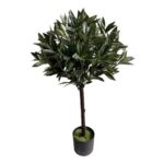 productHero-SPOTWF-BP80691463-green