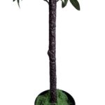 productHero-SPOTWF-BP80691463-green-2