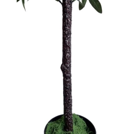 productHero-SPOTWF-BP80691463-green-2