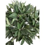 productHero-SPOTWF-BP80691463-green-4