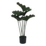productHero-SPOTWF-BP80691526-green