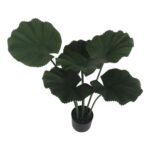 productHero-SPOTWF-BP80691526-green-2