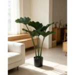 productHero-SPOTWF-BP80691526-green-6