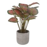 productHero-SPOTWF-BP80691530-red